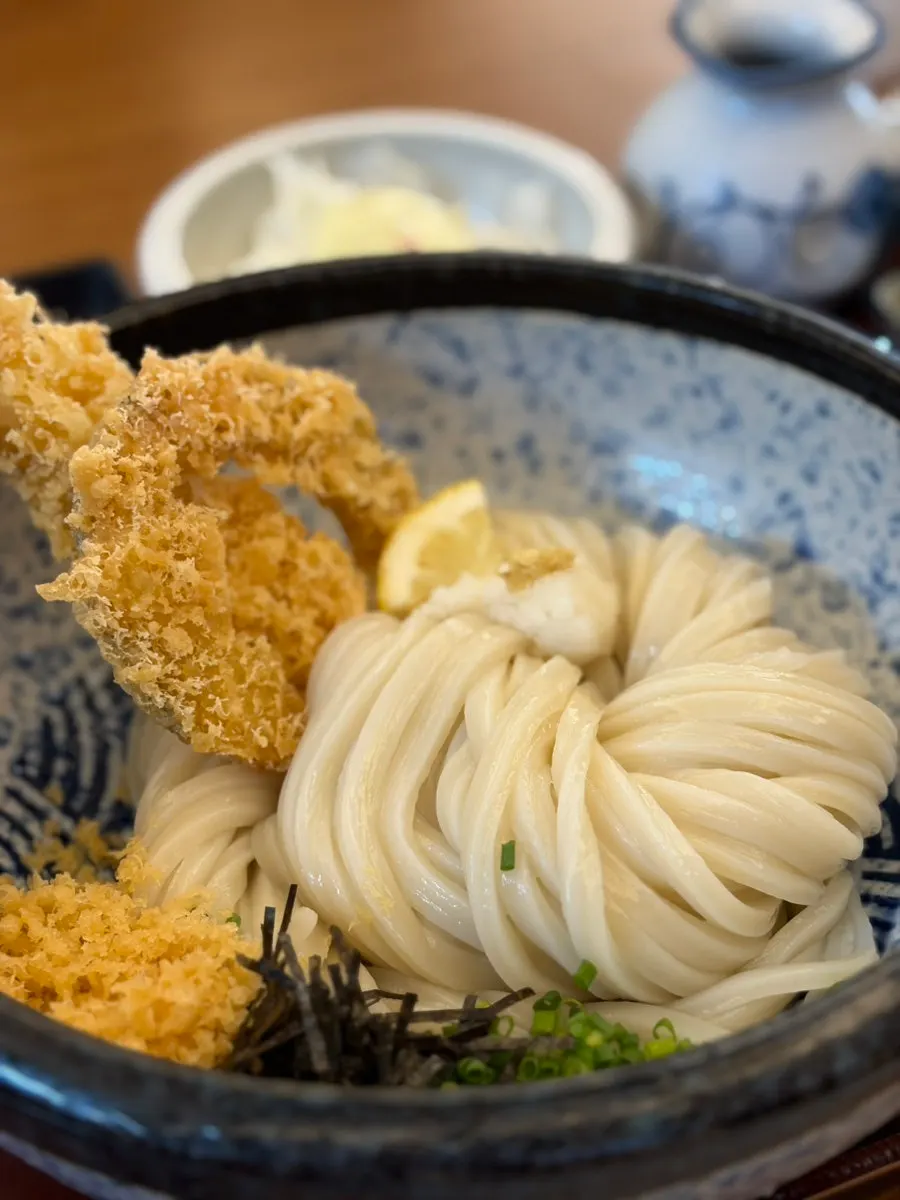 Table set with half-and-half katsu and fried chicken together