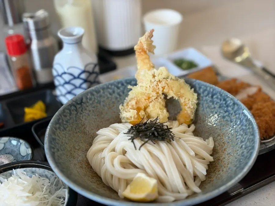 Extra piece of tonkatsu added to the udon set