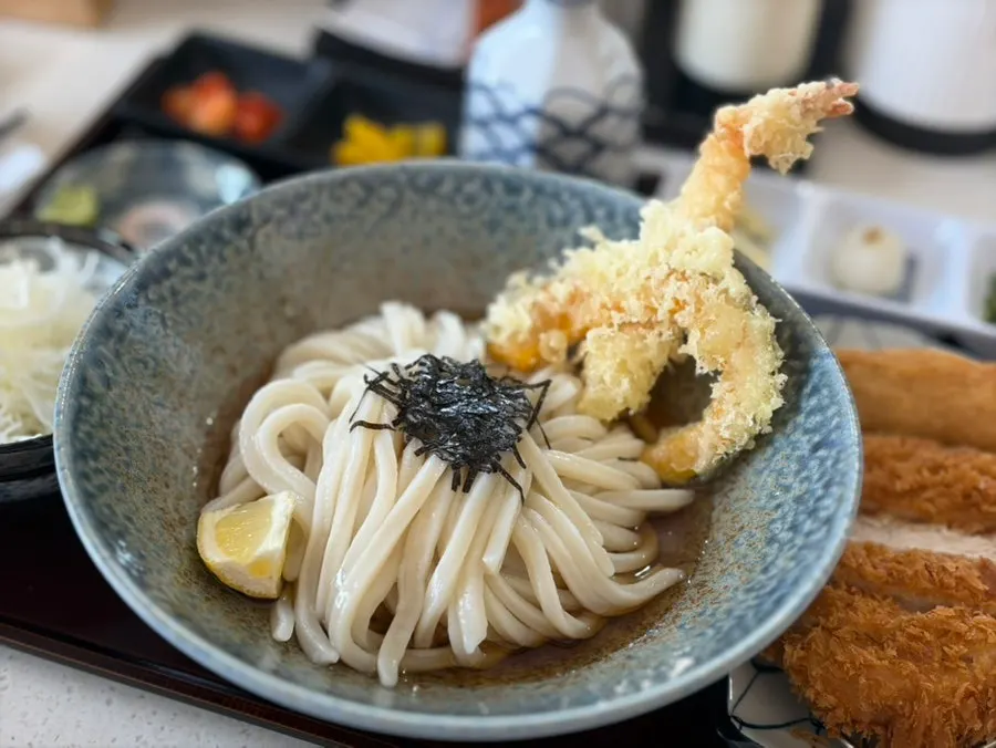 Udon topped with grated radish, green onion, and tempura flakes