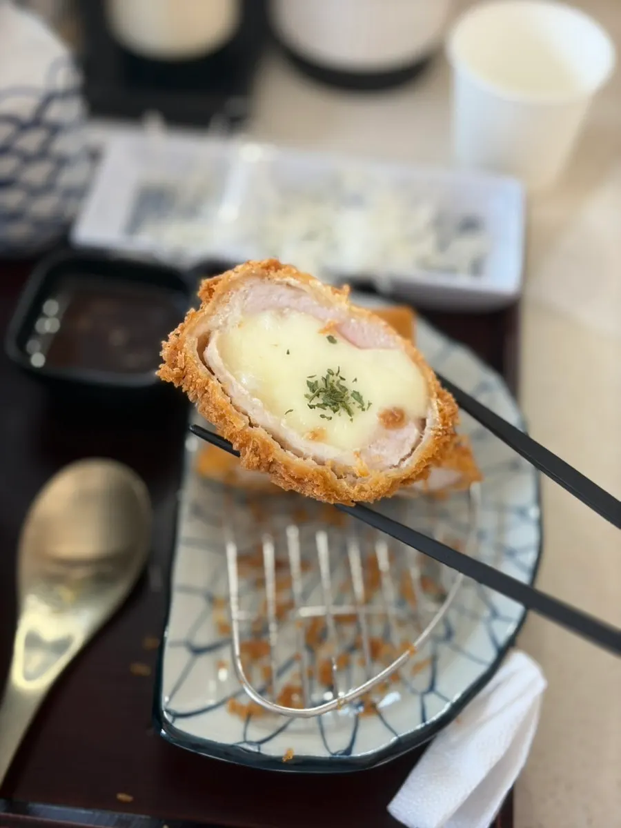 Piece of basic tonkatsu dipped in sauce