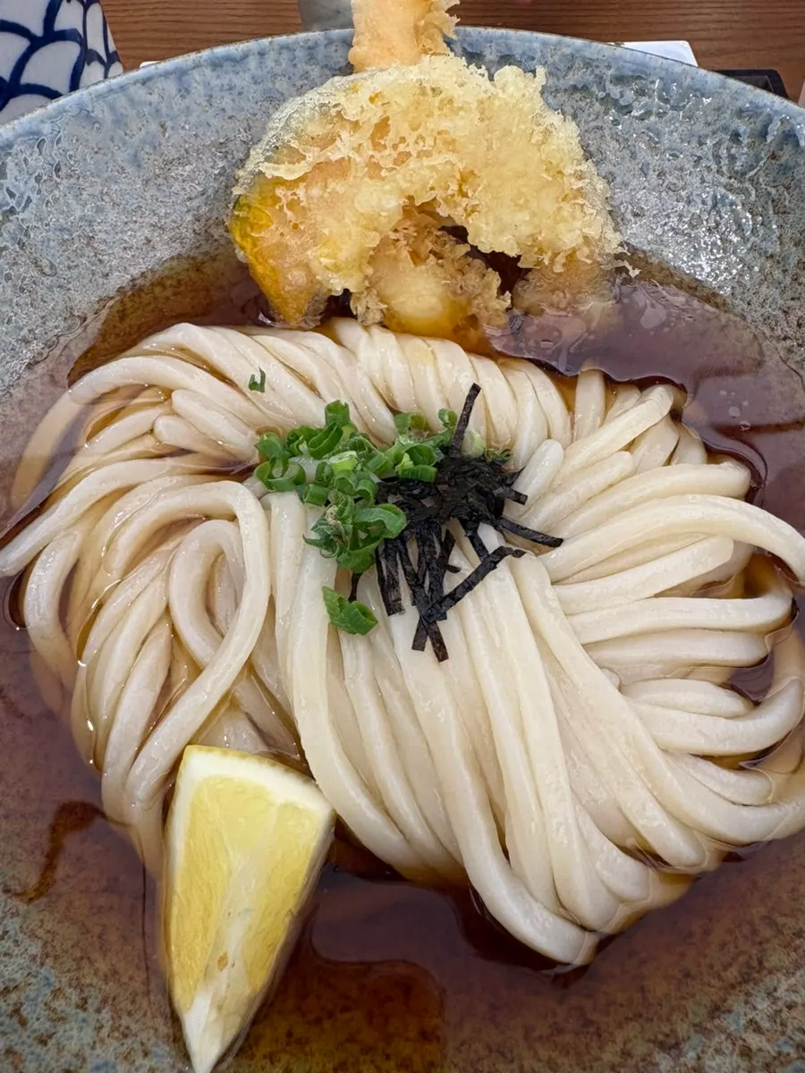 Thick udon noodles lifted up with chopsticks
