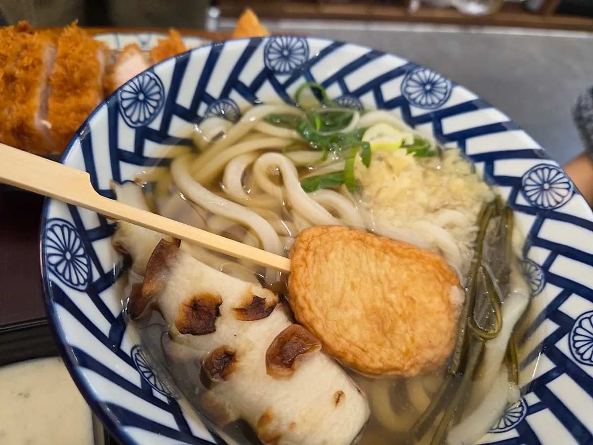 Thick fish cake udon noodles and broth at Kosi
