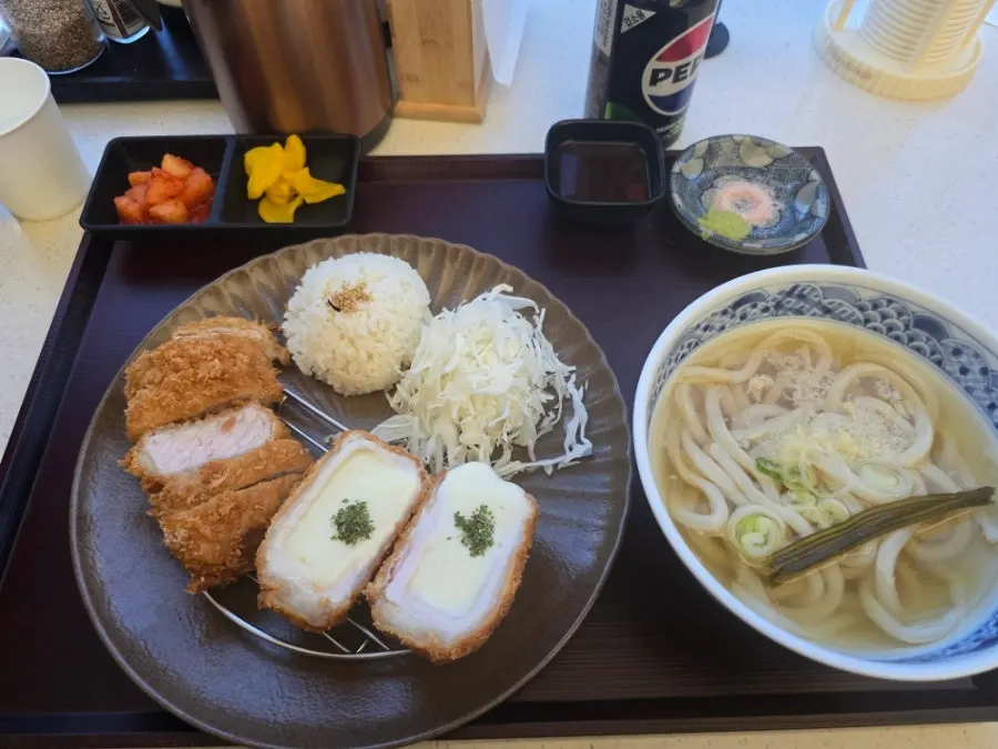 Half-and-half katsu set served with udon