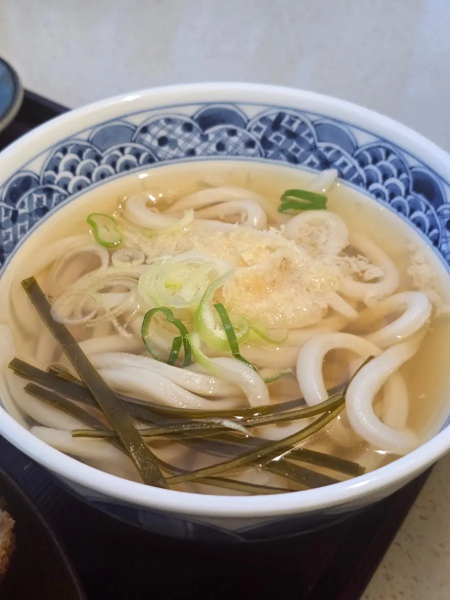 Udon topped with kelp and chewy noodles