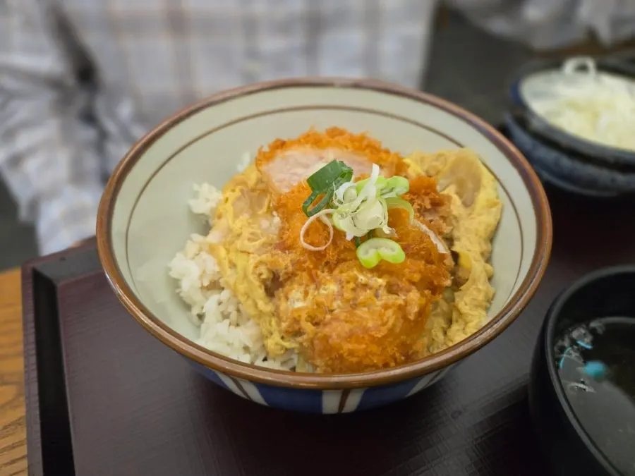 Thick cutlet on top of katsudon