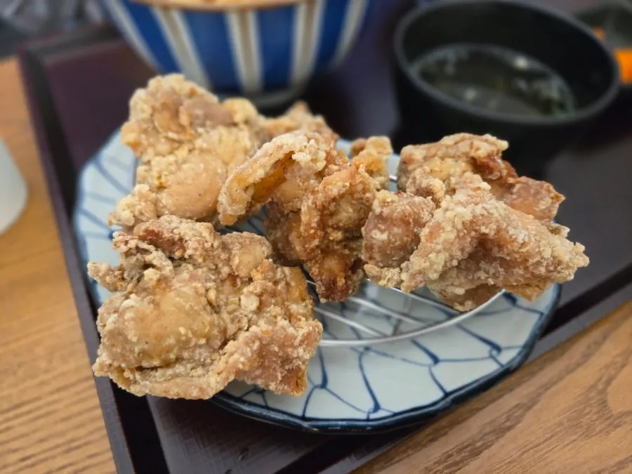 A plate of large fried chicken pieces