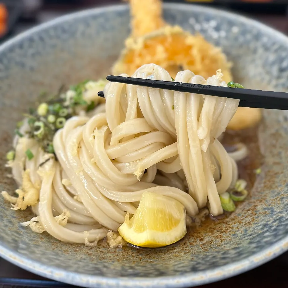 箸で持ち上げたもちもちのさぬき麺