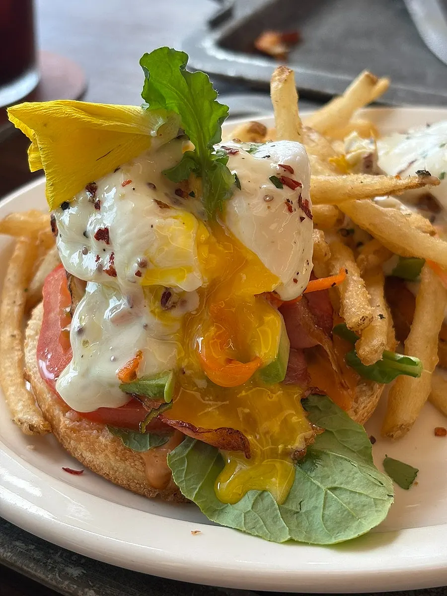 Close-up of the open sandwich with poached egg and avocado