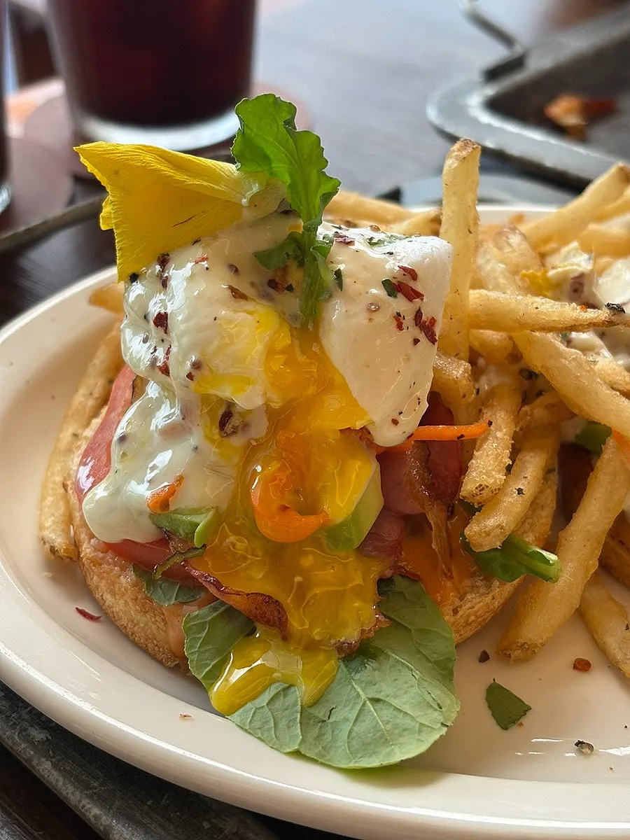 Truffle BLT open sandwich with the poached egg broken open
