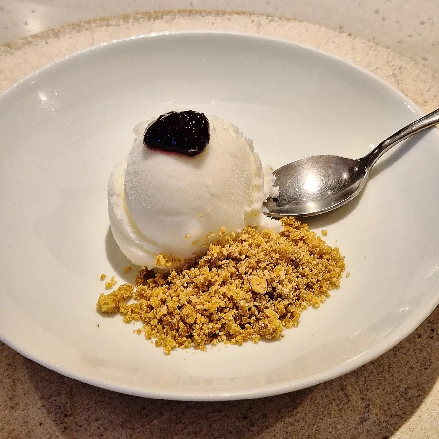Yogurt sherbet served with a crunchy cracker to finish