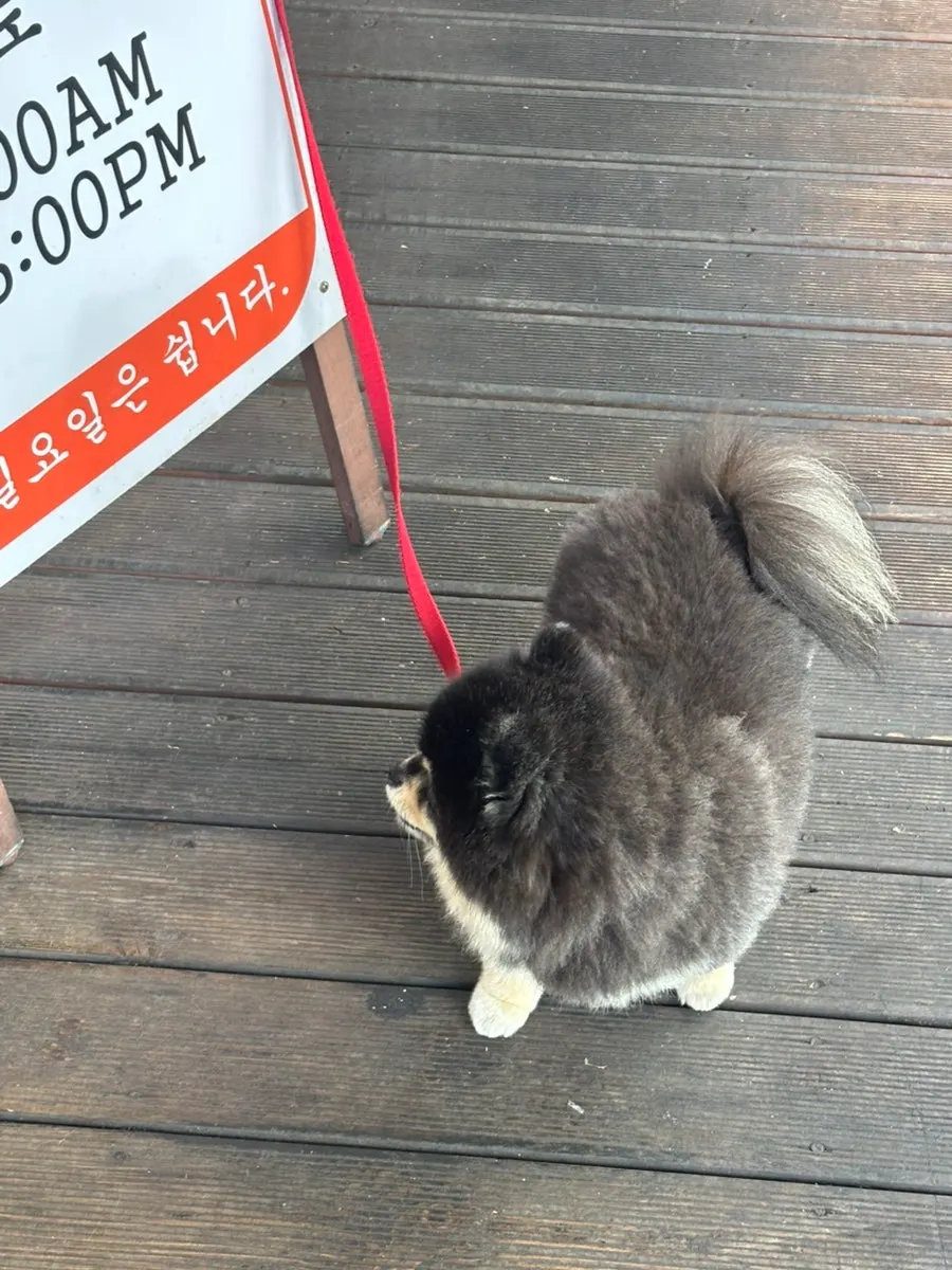 테라스에 놓인 초록 식물들