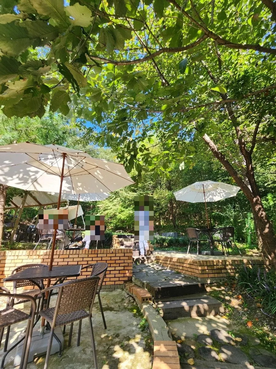 Outdoor space at La Cuesta with a fountain