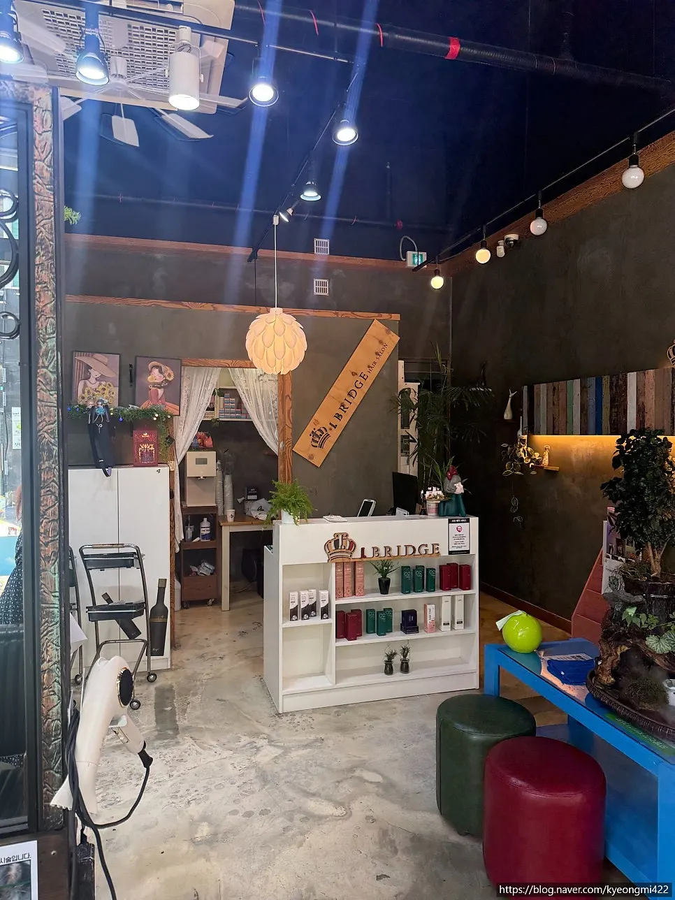 Plants outside the salon entrance