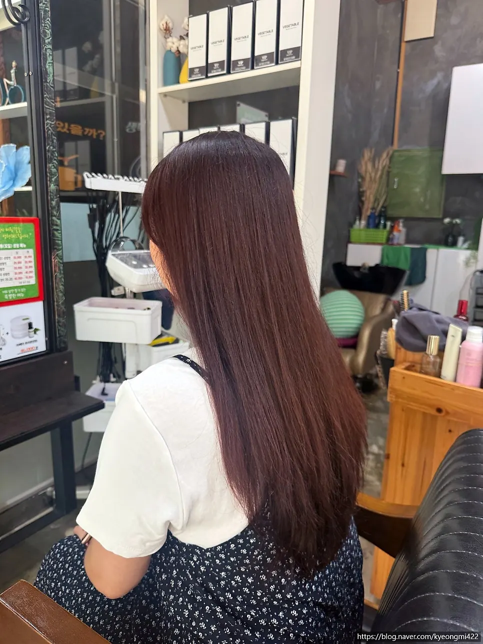 Back length of hair before the cut