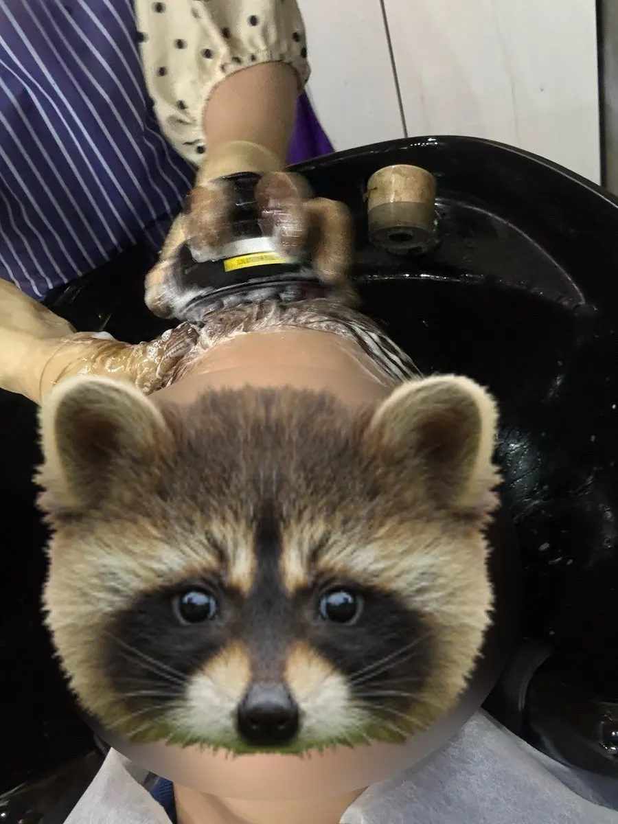Shampoo scene using the micro-vibration machine