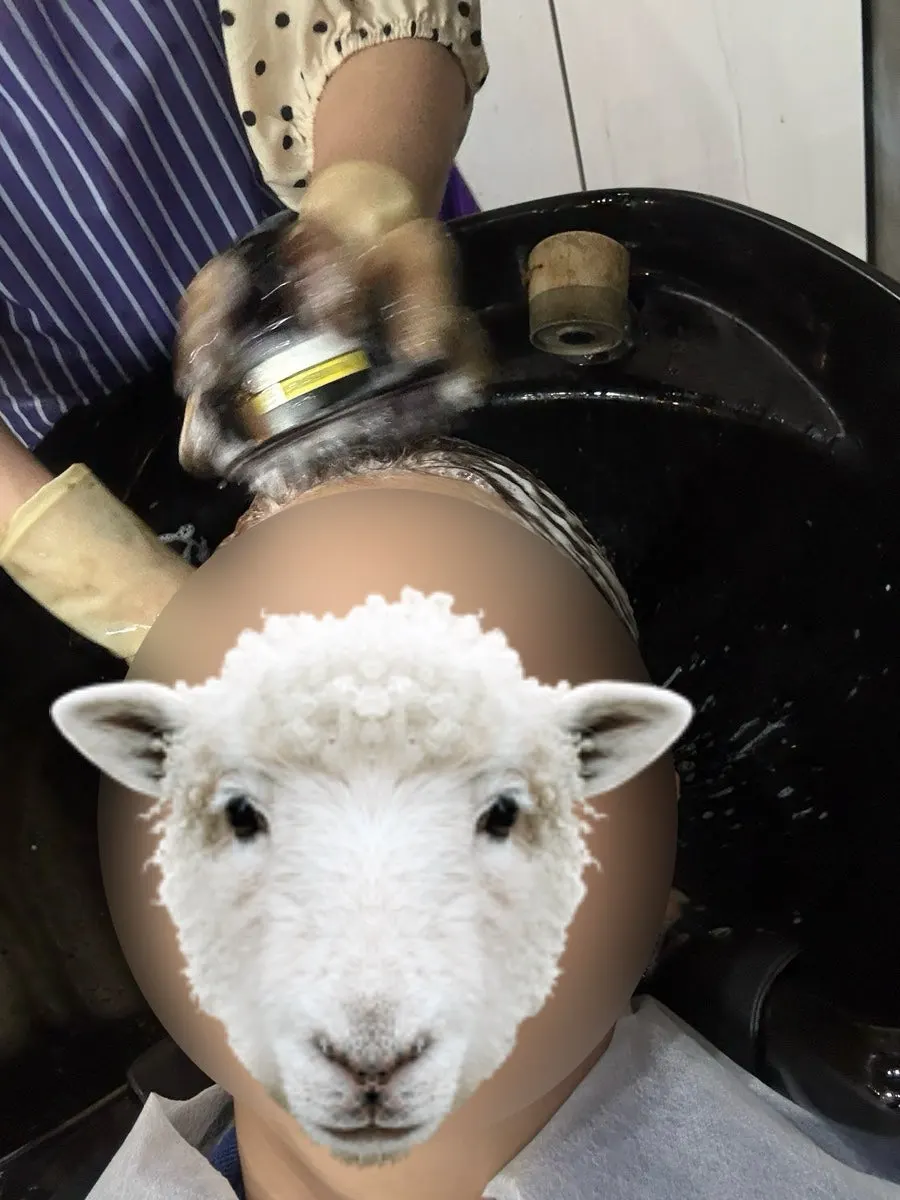 Scalp care after shampooing