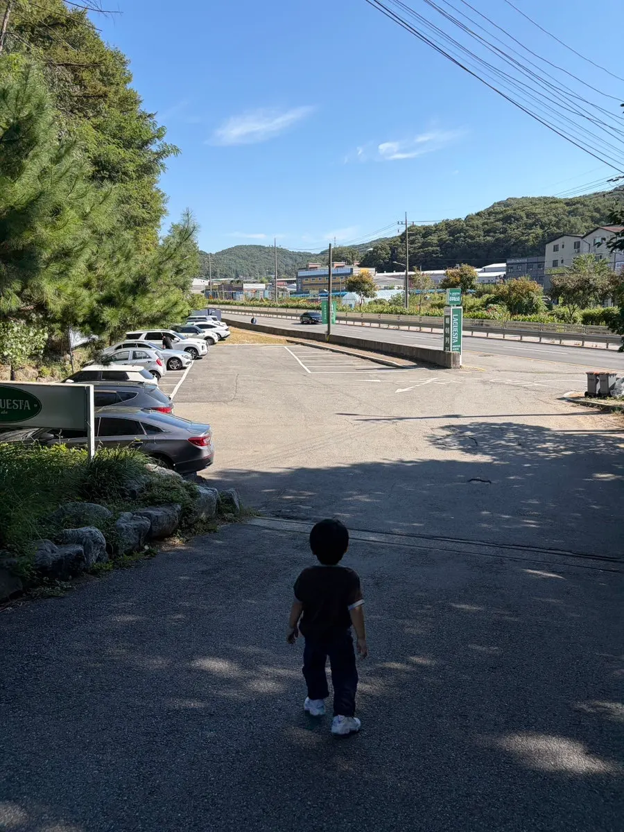 Parking lot pathway leading to the café entrance