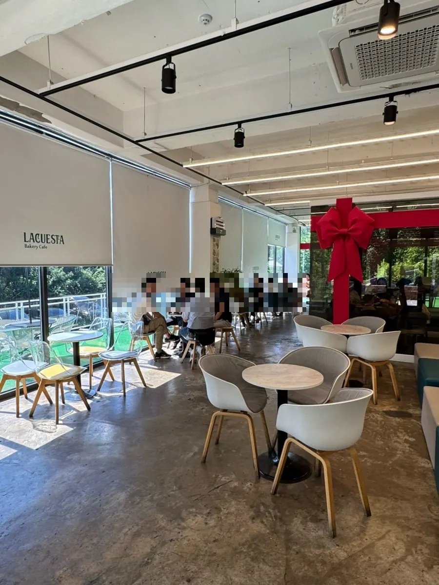 Sunlight pouring into the La Cuesta interior through floor-to-ceiling windows