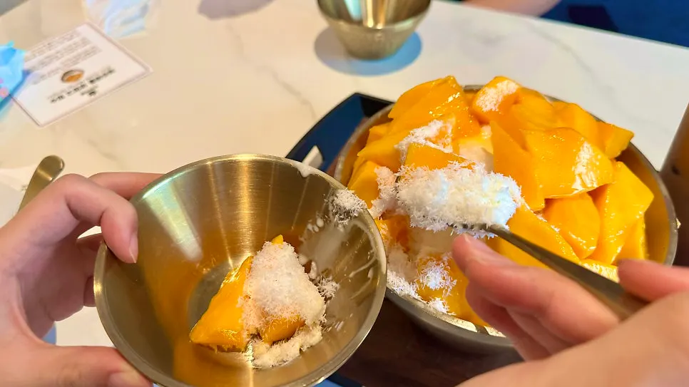 House-made mango sauce and fresh mango over finely shaved ice
