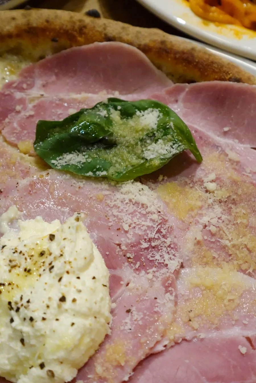 A slice of wood-fired pizza sprinkled with cheese powder