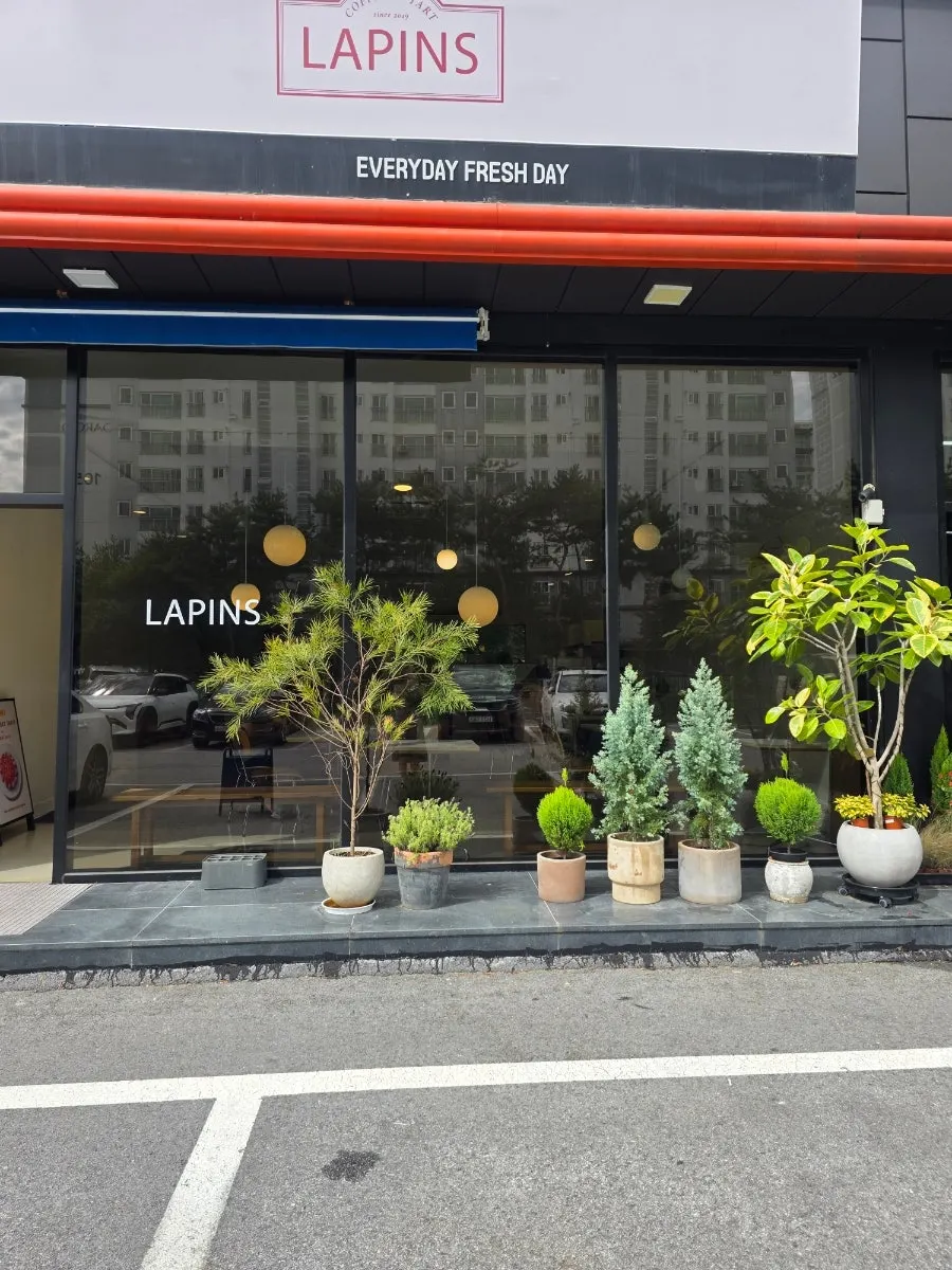 라핀스 카페 외부 전경