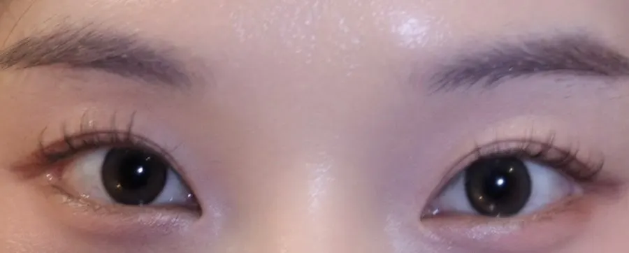 자연스러운 인모 속눈썹 연장 클로즈업
