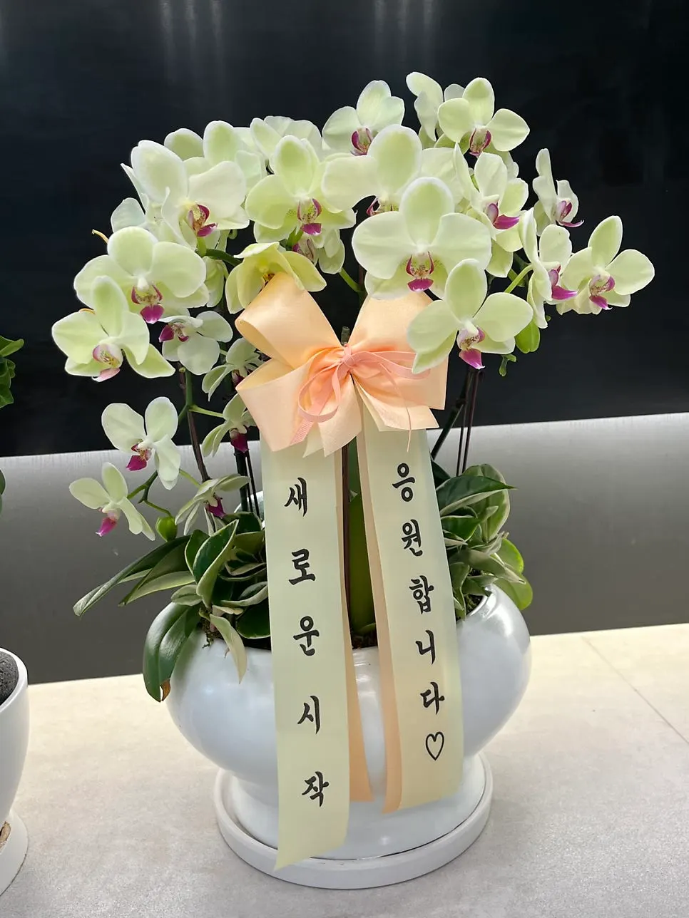 강남역 인근 법무법인 사무실 내부 이미지