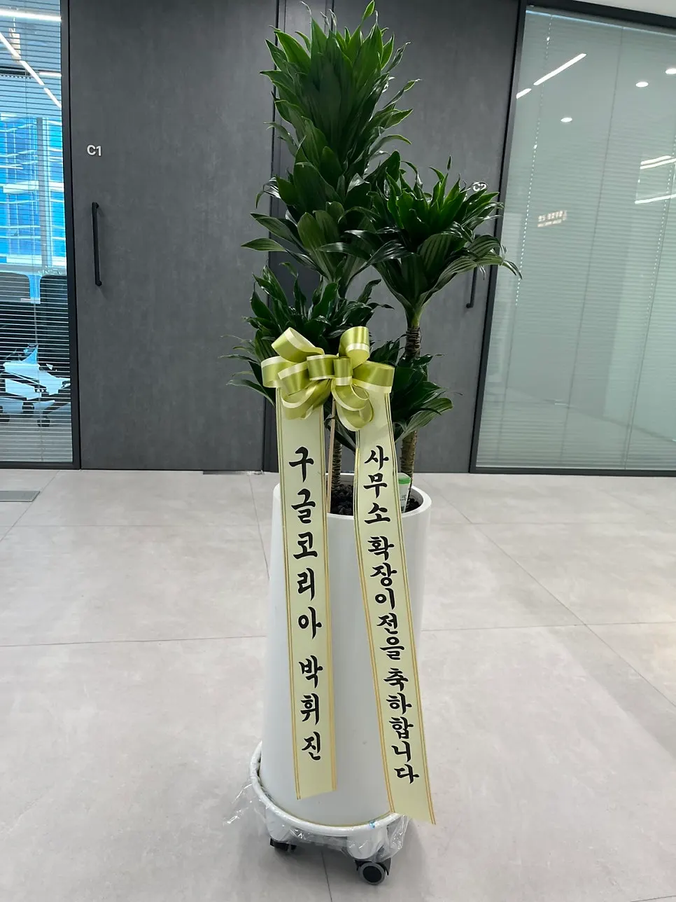 법무법인 근본 새 사무실 안내 이미지