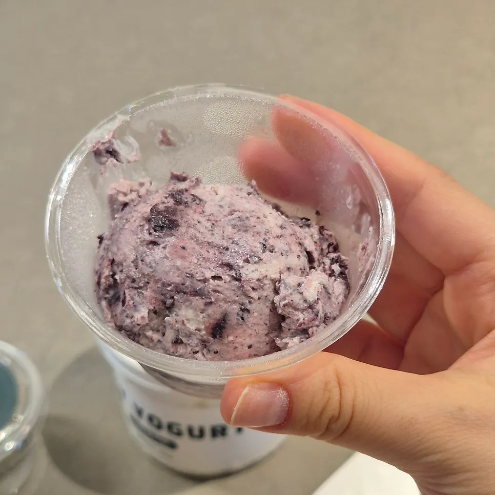 Close-up of the fluffy Greek yogurt texture