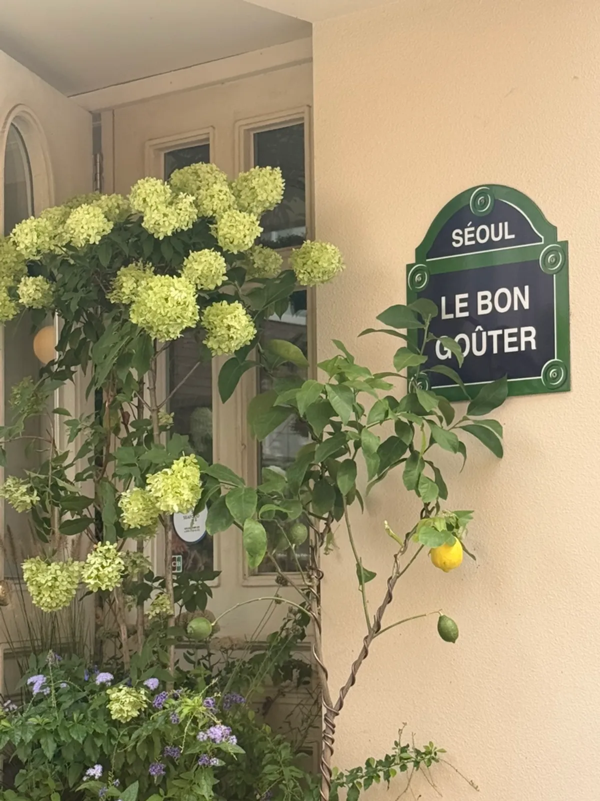 Main photo of autumn terrace brunch at Le Bon Goûter in Apgujeong