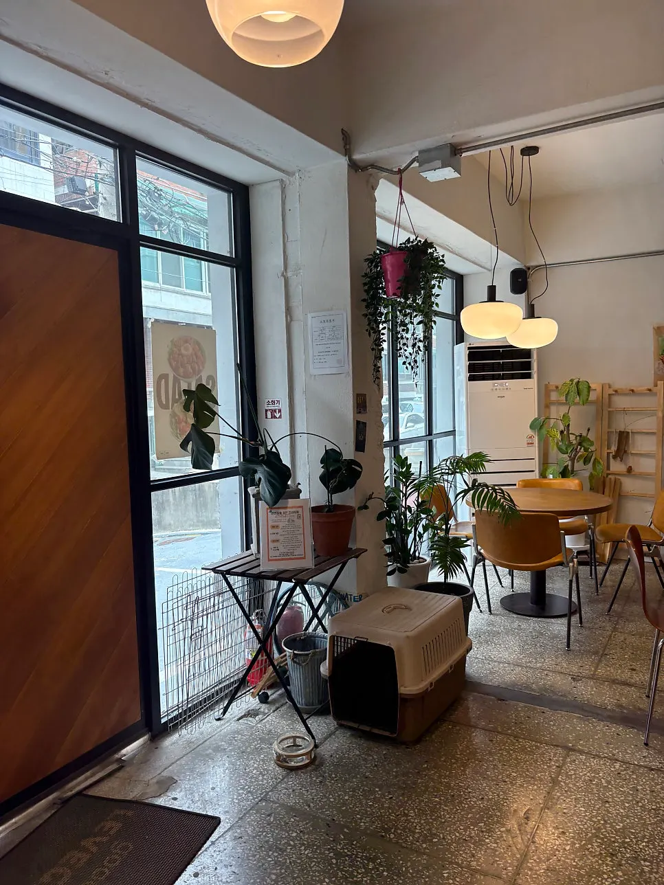 Entrance area of the store with plants