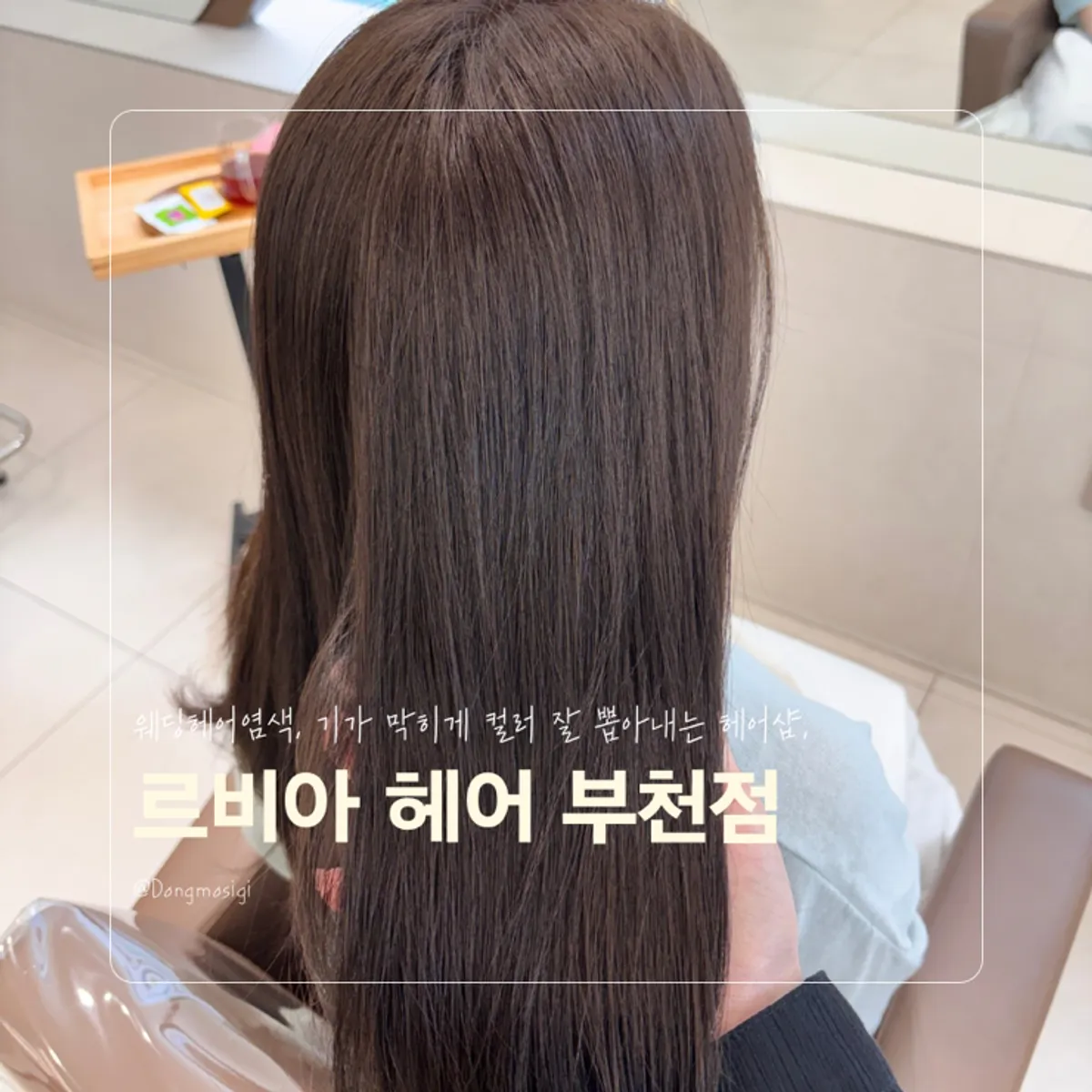 르비아 헤어 부천점 웨딩 염색 안내 이미지