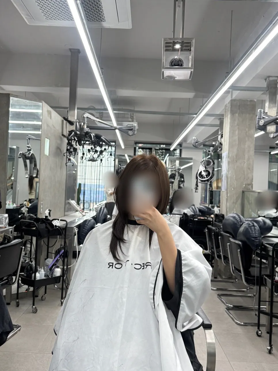 Milk brown hair made lighter with a layered cut