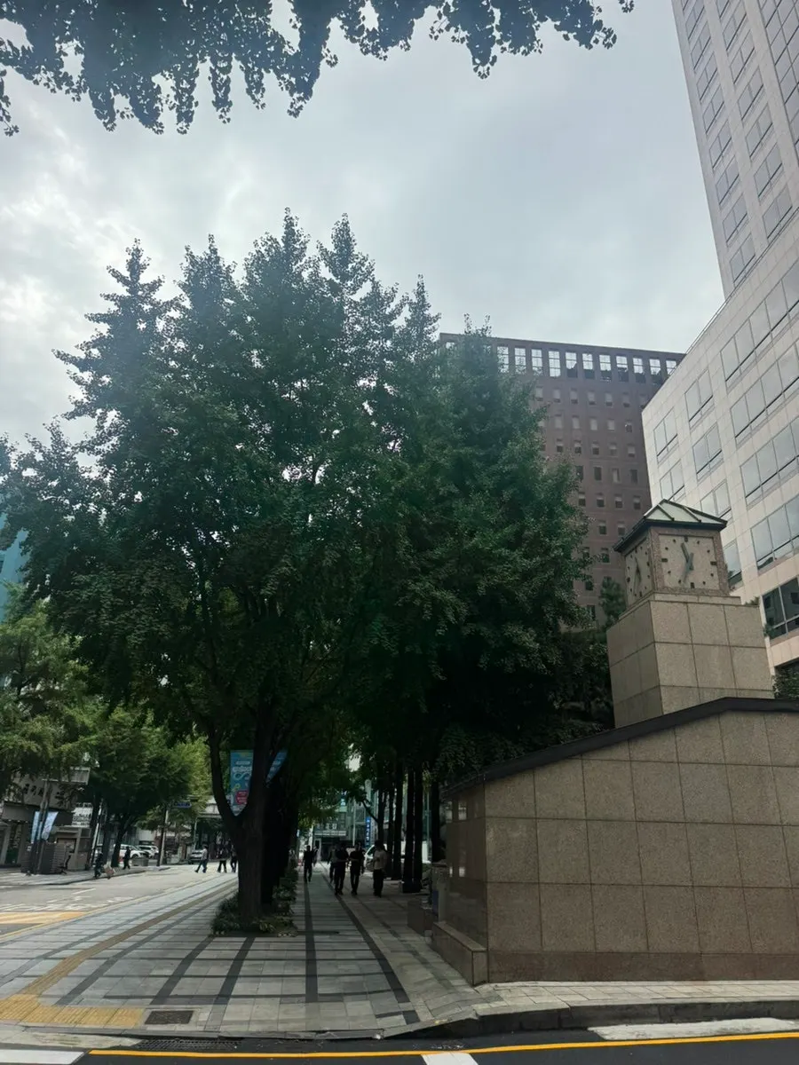 Street view near Cheonggyecheon