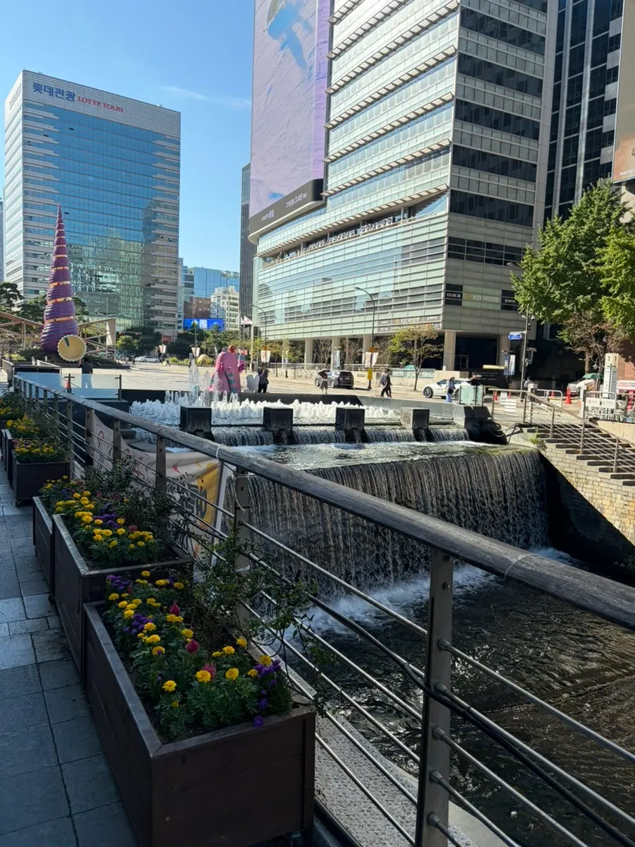 Mugyo-dong street near City Hall Station and café location