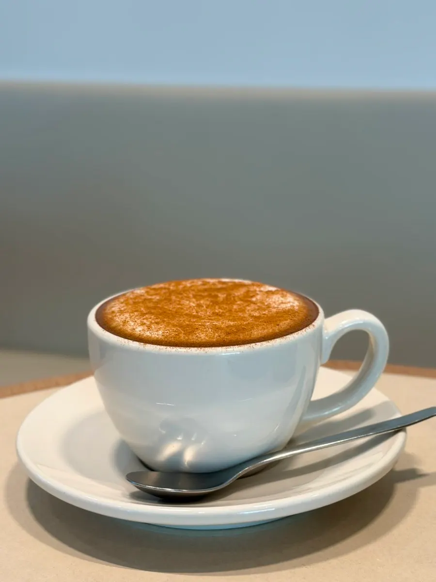 Cappuccino with rich milk foam
