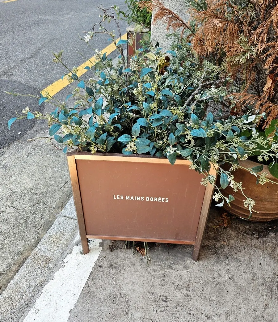 Planter reading LES MAINS DORÉES in front of the store