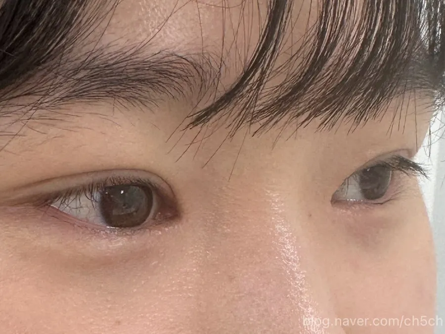 Close-up of the lifted lash curl