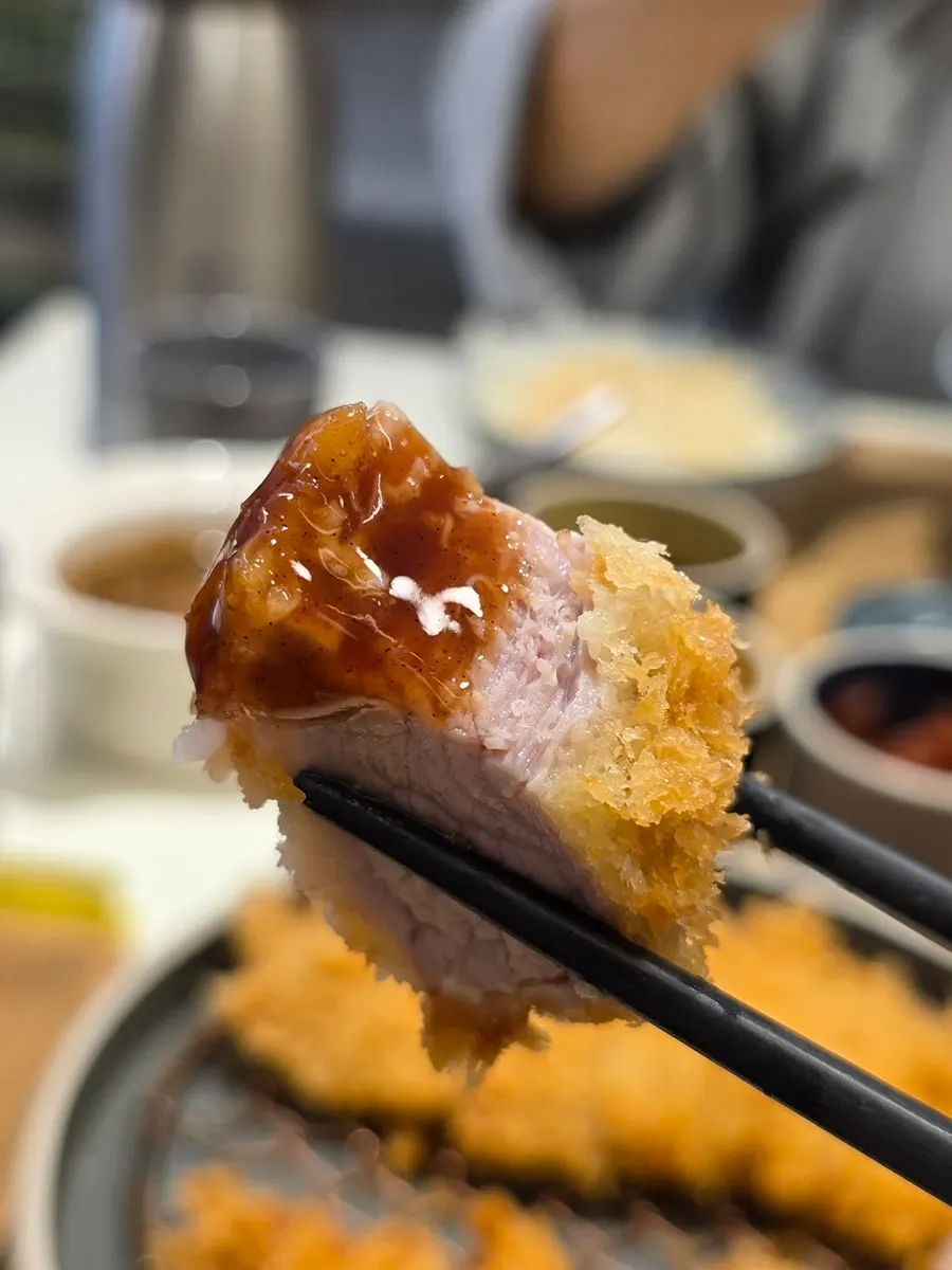 Crispy coating on a bitten piece of hire-katsu