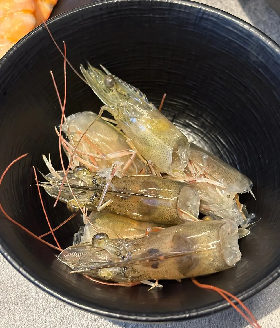 Close-up of freshly caught live sweet shrimp sashimi