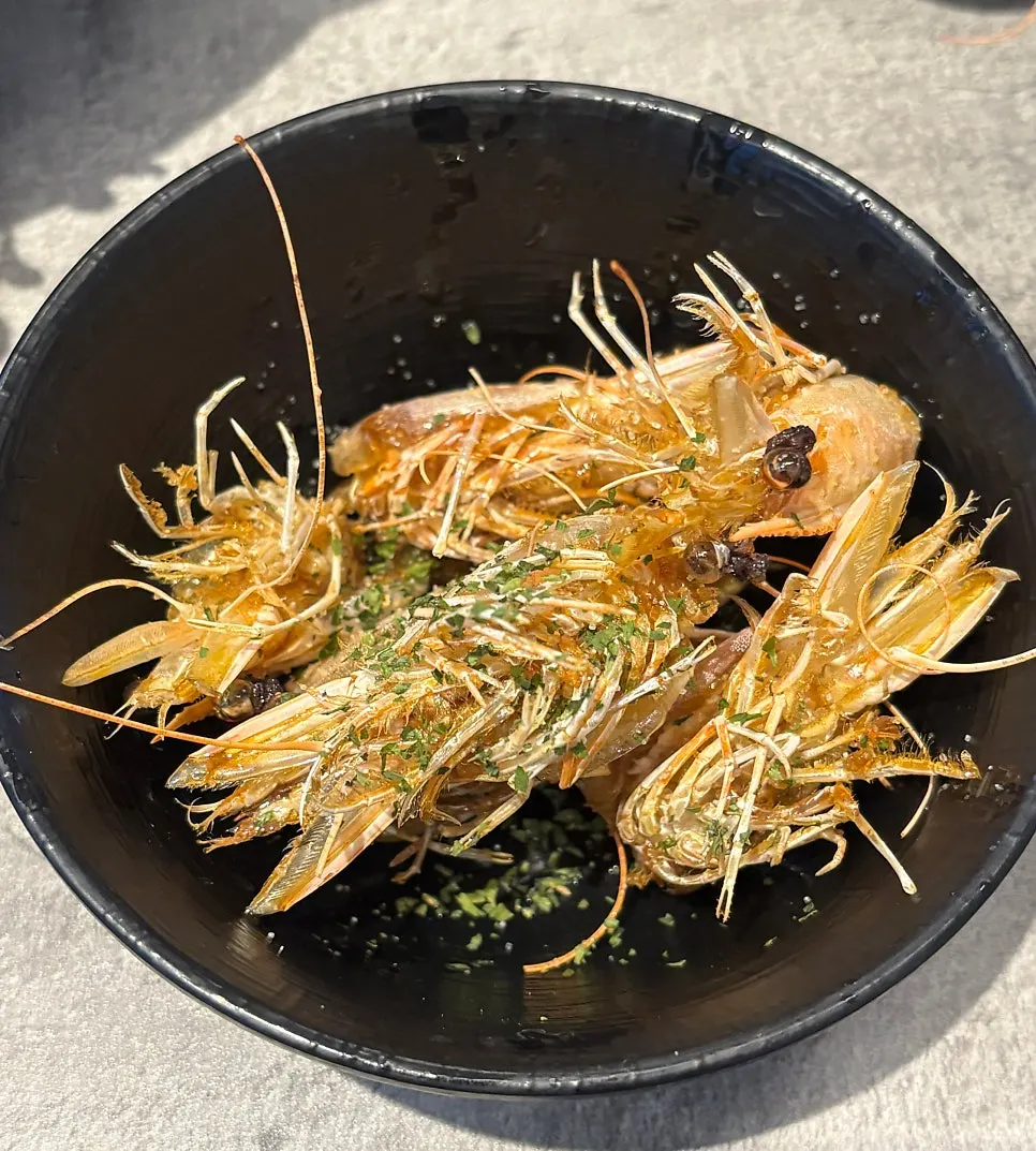Hand-rolled sushi made with sushi rice and sashimi