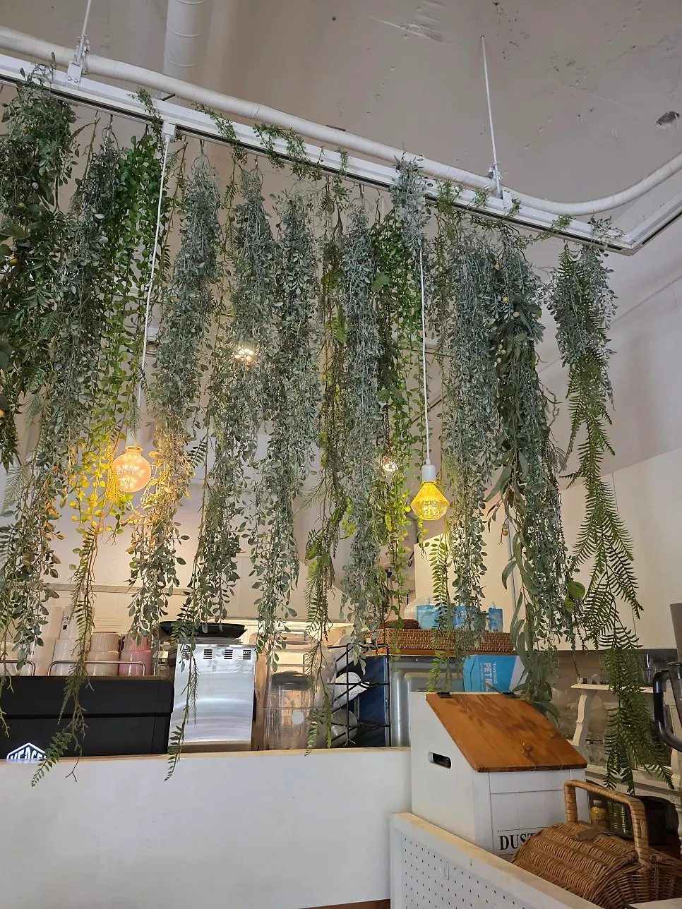 Indoor tables and window seats at Like Like Juyeop Branch