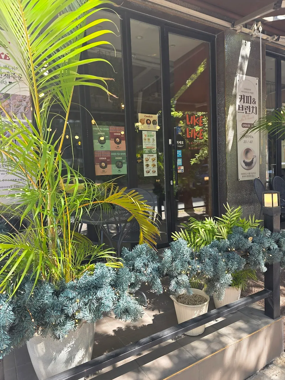 Dog-friendly seating at Like Like Juyeop Branch