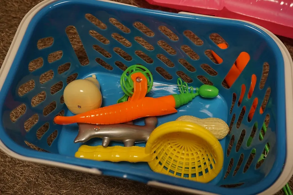 Fishing game pieces stored in a basket