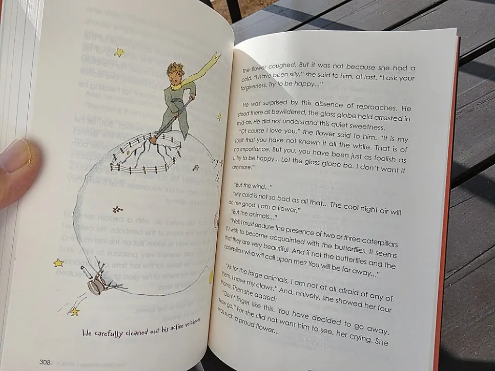 Level 5 The Little Prince text