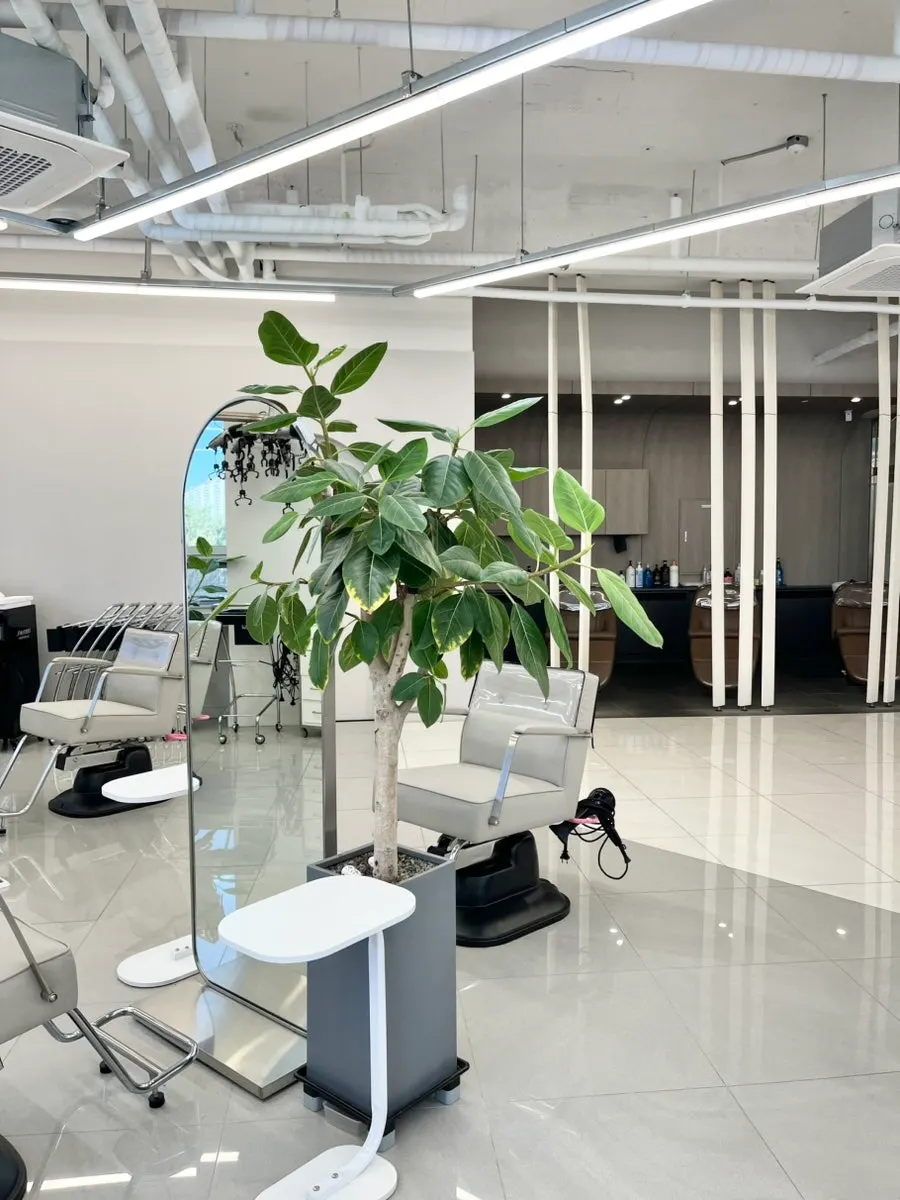 Salon interior with mirrors and styling chairs