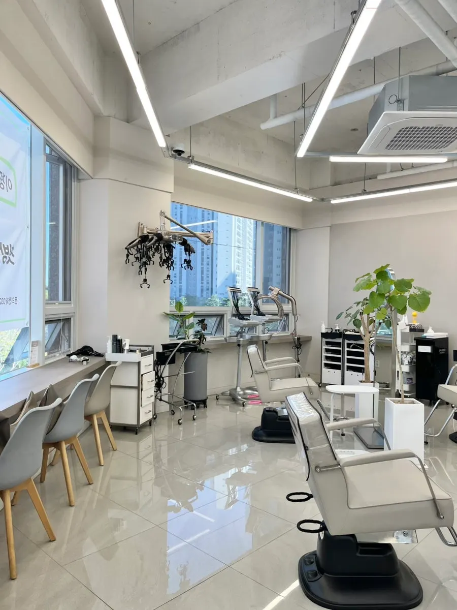 Tidy corner of the salon interior