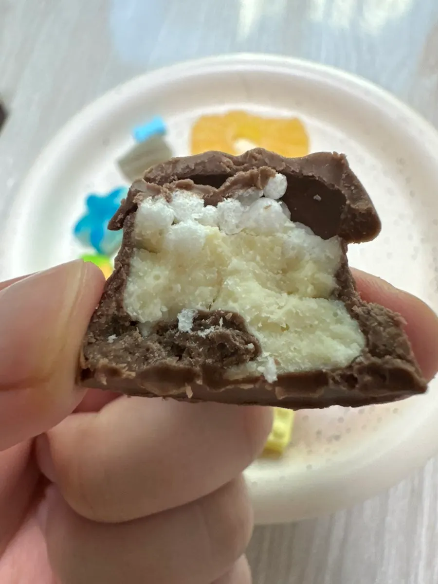 딸기와 코코넛 맛 수입 초콜릿