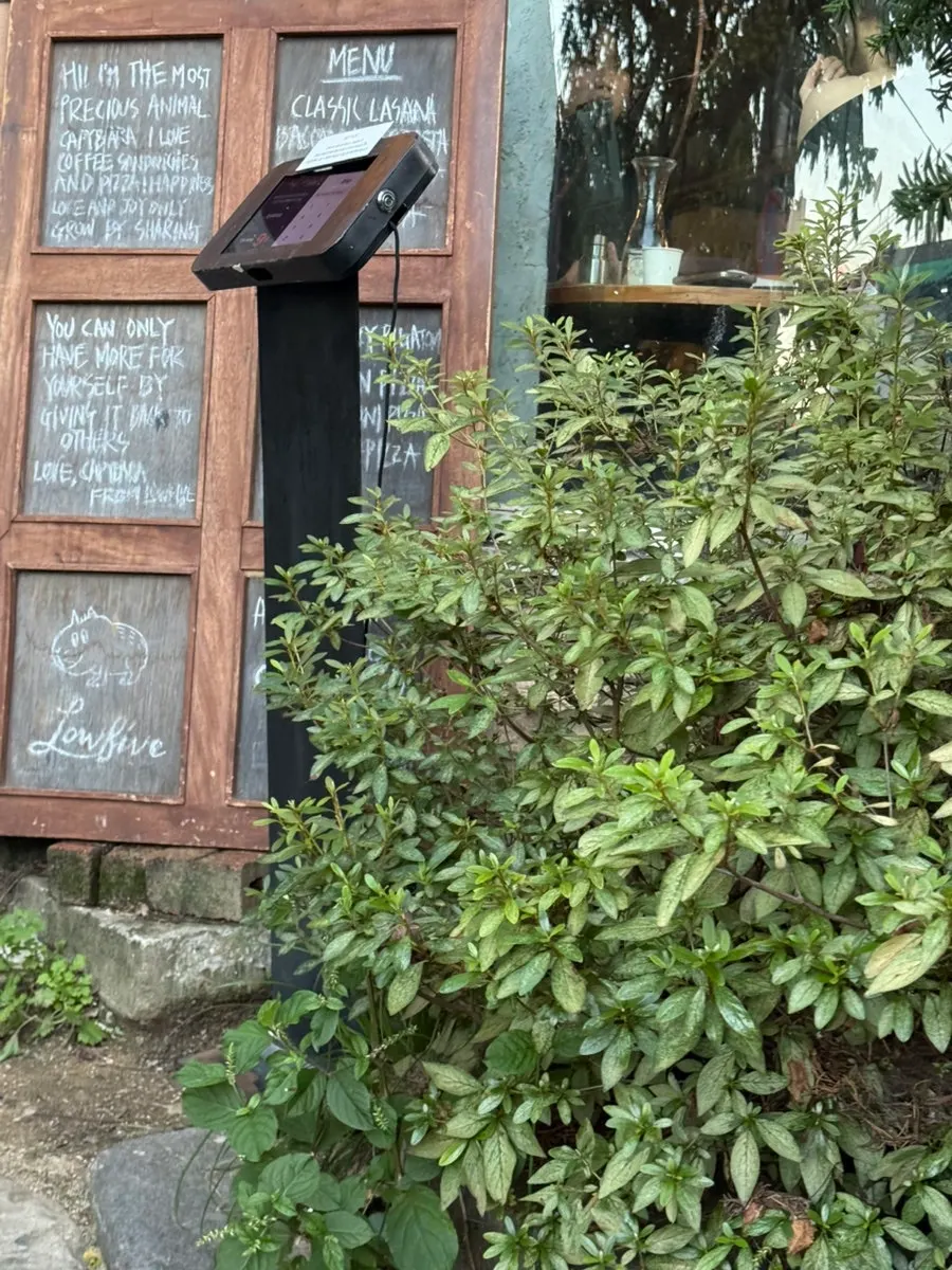 로우파이브 입구 주변 풍경