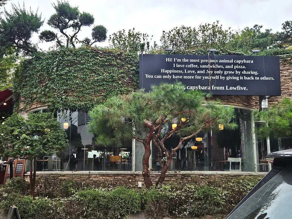 Low Five's building exterior with a forest-village vibe